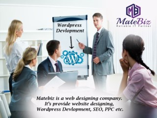 High-Experienced WordPress Website Development Company India