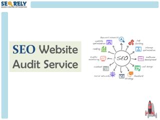 Free SEO Consultation and Audit - Seorely