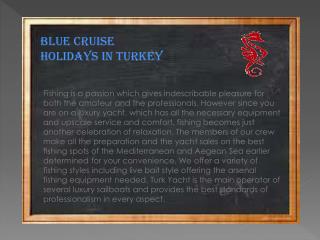 Blue cruise holidays