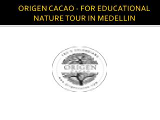 Origen cacao - For Educational Nature Tour in Medellin