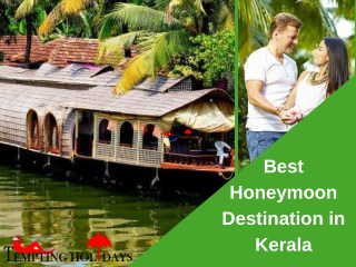 Best Honeymoon Destination in Kerala