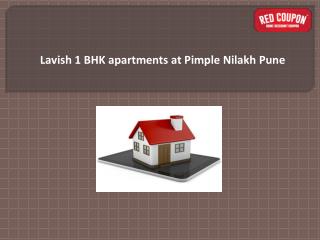 1 BHK Flats in Pimple Nilakh