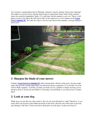 4 Tips for Late Summer Lawn Care
