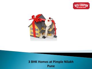 Flats in Pimple Nilakh