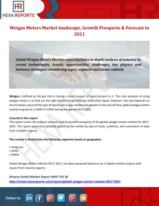 Wetgas Meters Market landscape, Growth Prospects & Forecast to 2021