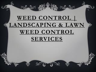 Landscaping & Lawn Weed Control Services - Weed Control