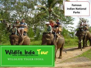 Wildlife tour India