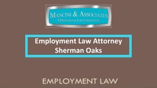 Employment Law Attorney Sherman Oaks