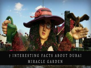 7 Interesting facts about Dubai miracle garden