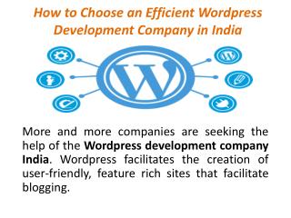 How to Choose an Efficient Wordpress Development Company in India