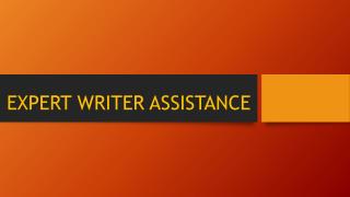 Expert Writer Assistance