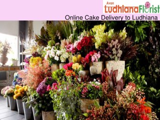 Online Cake Delivery in Ludhiana