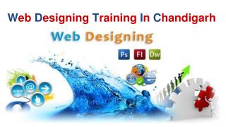Web Designing Training In Chandigarh