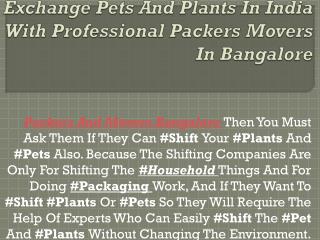 Exchange Pets And Plants In India With Professional Packers Movers In Bangalore