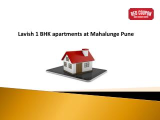 1 BHK Flats in Mahalunge