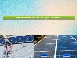 Why Hire Professionals to Clean your Solar Panels?