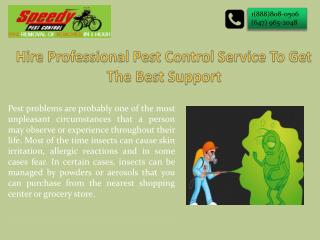 Hire Professional Pest Control Service To Get The Best Support