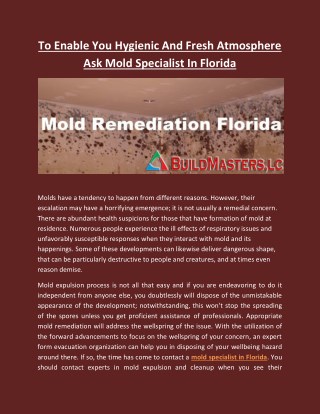 To Enable You Hygienic And Fresh Atmosphere Ask Mold Specialist In Florida