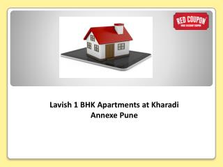 1 BHK Kharadi Annexe Pune