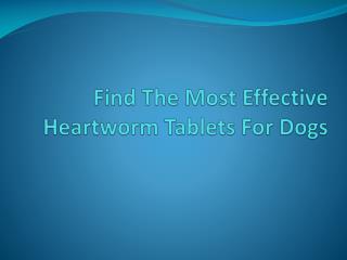 Find The Most Effective Heartworm Tablets For Dogs