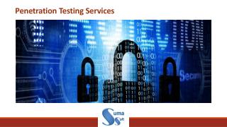 Best Penetration Testing Services