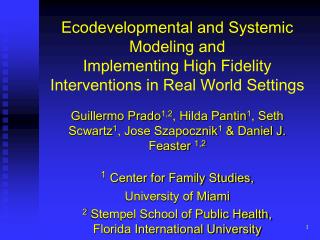 Ecodevelopmental and Systemic Modeling and Implementing High Fidelity Interventions in Real World Settings