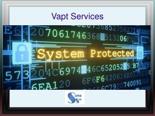 VAPT services