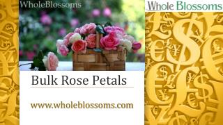 Bulk Rose Petals - www.wholeblossoms.com