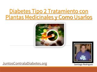 Diabetes tipo 2 tratamiento con plantas medicinales y como usarlos