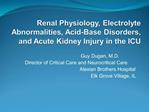 Renal Physiology, Electrolyte Abnormalities, Acid-Base Disorders, and Acute Kidney Injury in the ICU