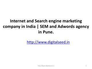 Internet Marketing Company Pune| Search Engine Marketing| Digitalseed India