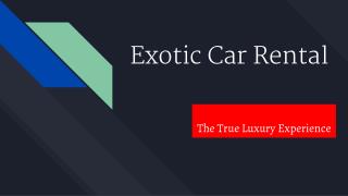 Exotic Car Rental Las Vegas Nevada