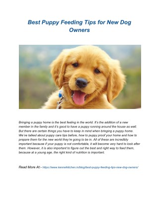 Best Puppy Feeding Tips for New Dog Owners