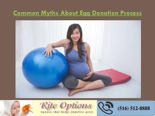 Common Myths About Egg Donation Process