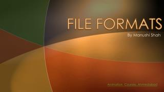 File Format - Animation Courses, Ahmedabad