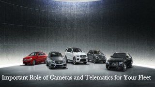 Important role of Cameras and Telematics for Your Fleet