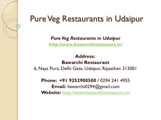 Pure Veg Restaurants in Udaipur