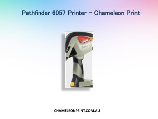 Pathfinder 6057 Printer - Chameleon Print