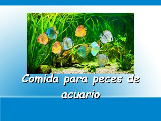 Comida para peces de acuario