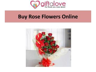 Attractive Rose flowers at Giftalove