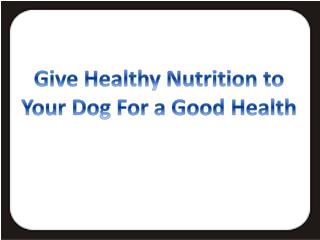 Give Healthy Nutrition to Your Dog for a Good Health
