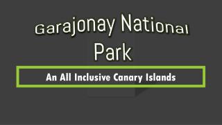 Garajonay National Park - An All Inclusive Canary Islands