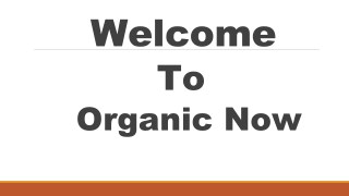 Best Organic Food Products