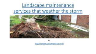 Landscape maintenance services that weather the storm