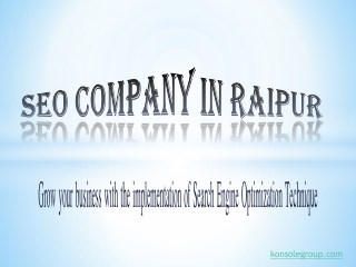 SEO company in Raipur