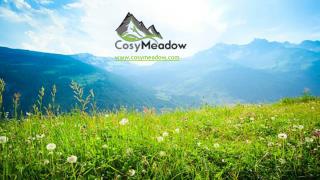 What is Cosymeadow