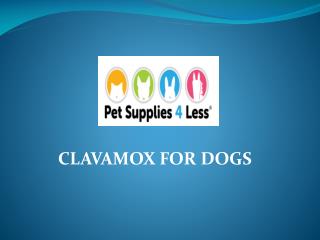 Clavamox For Dogs
