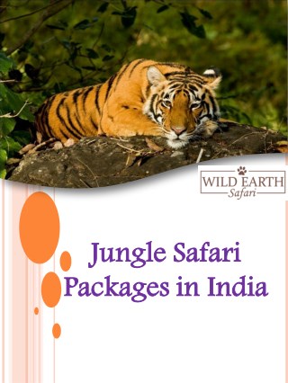 Jungle Safari Packages in India