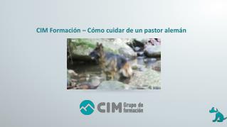 CIM Formación – Cómo cuidar de un pastor alemán