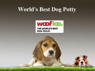 World's Best Dog Potty